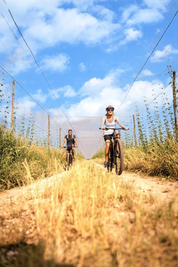 GreenValleyGlamping Sesce Pri Preboldu Buitenkant foto